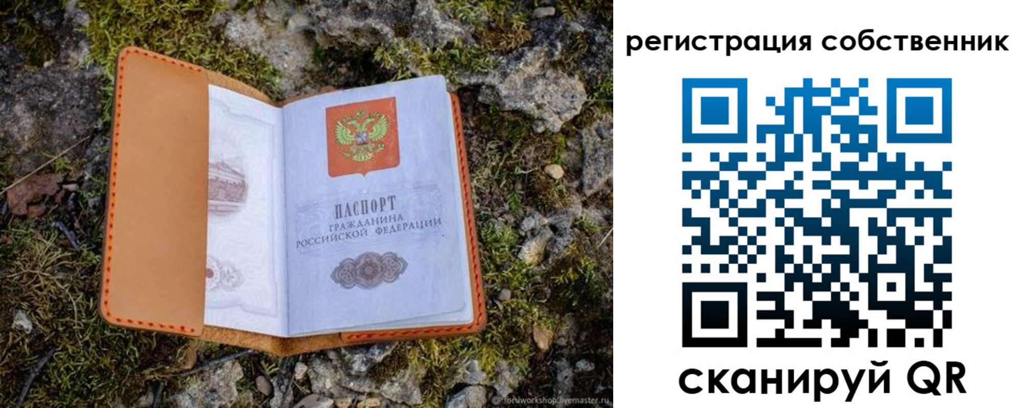 прописка поиск в Тырныаузе
